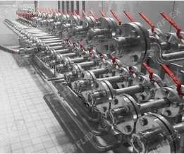Chemical manifold