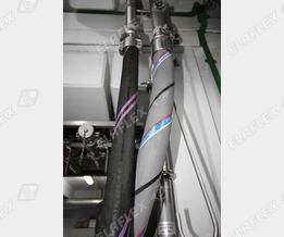 ELAPHARM and Tecnopal hose assemblies